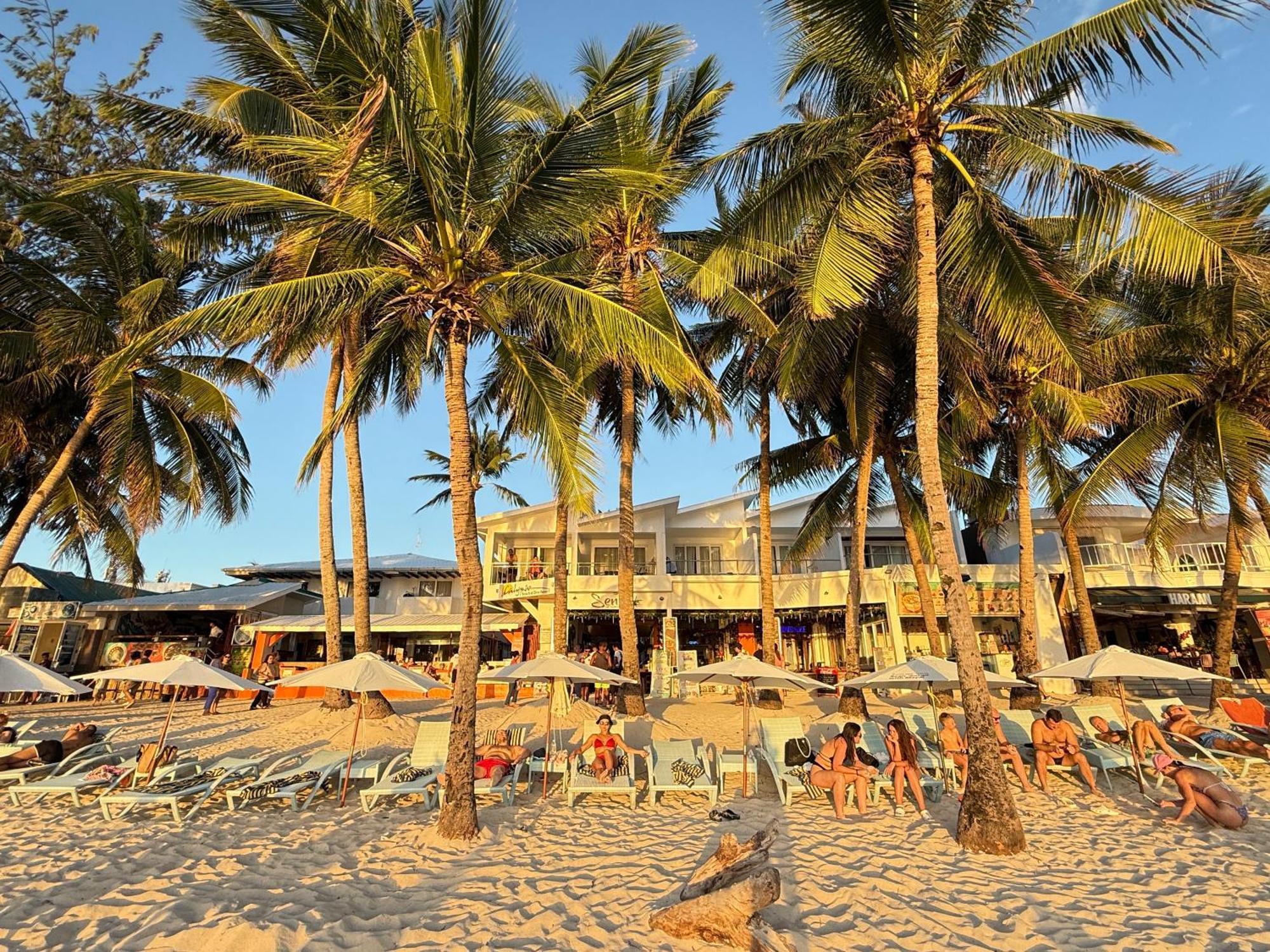 Calypso Beach And Dive Resort Manoc-Manoc Zewnętrze zdjęcie